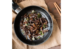 Image Insect protein